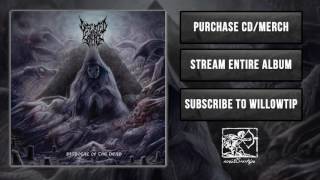 Defeated Sanity  The Bell [upl. by Ecirtael]