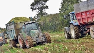 Jaguar 870 At Work  Ensilage mais 2013 [upl. by Ressler]