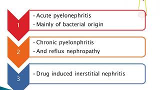 tubulointerstitial kidney diseases [upl. by Ragouzis360]