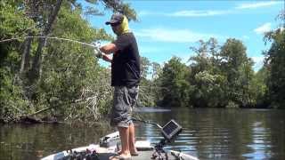 Nanticoke River 81314  bass fishing [upl. by Appledorf786]