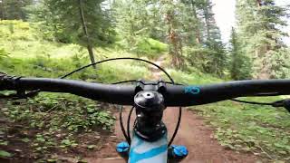 Snowmass Bike Park  Dust Bunny  82124 [upl. by Oel314]