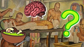 What Did Ancient Egyptians Do with Brains  ArchaeFacts [upl. by Eceinehs282]