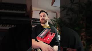 Expression pedal on BASS 🎚💥🧨 basseffects bassfx scottsbasslessons sbl basslesson [upl. by Eus]