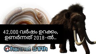 42000 വർഷങ്ങൾക്ക് ശേഷം വീണ്ടും ജീവിതത്തിലേക്ക് [upl. by Eniwtna877]