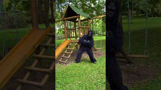 The hallucinated monkey😰😱🐒🍌 funnymoments funny mood comedy collor nature gorilla shorts [upl. by Eenhpad]