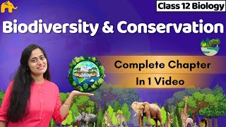 Biodiversity and Conservation Class 12 Biology One shot  CBSE NEET  NCERT Chapter [upl. by Ranie]