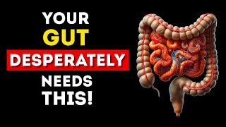 Want A Perfectly Working Gut Eat These 5 Foods It Changes Everything [upl. by Ecinrahs747]