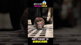 How this Mouse spread the virus throughout the city 😱😱 shorts [upl. by Gran]