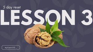 Fasting Mimicking Diet DIY 🌰 Lesson 3 To Do List [upl. by Rehpoitsirhc]