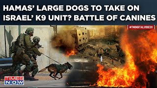 Hamas’ ‘Large Dogs’ To Take On Israel’s K9 Unit 17 IDF Military Dogs Killed Israel To Import More [upl. by Abate]