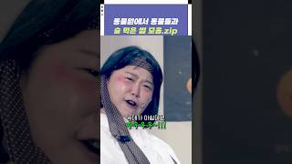 동물원에서 동물들과 술 먹은 썰 모음zip  개그콘서트 Gagconcert  KBS 241027 방송 [upl. by Ninerb]