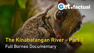 The Kinabatangan  A Corridor of Life  The Amazon of the East  Borneo Documentary Part 1 [upl. by Natal]