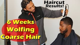 End of 6 Weeks Wolfing Coarse Hair 360 Wave Progress Tips Revealed [upl. by Adnilema]