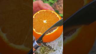 Juicy and yummy fruits viralvideo viralshorts satisfying [upl. by Nordna]