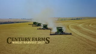 Four Combine Harvest on the Palouse [upl. by Sivar]