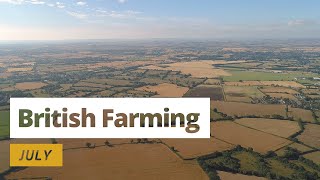 British Farming  12 Months On A UK Farm July [upl. by Gershom707]