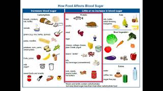 Adult Type 2 Diabetes  4 Nutrition Basics [upl. by Labinnah]