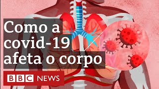 Em 3 minutos entenda como a covid19 afeta o corpo humano [upl. by Mehalick]