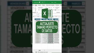 AJUSTE AUTOMATICO TAMAÑO DE DATOS EN EXCEL Excel Exceltips Exceltutorial Shorts Youtubeshorts [upl. by Amuh196]