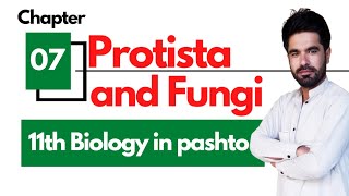 Protista and fungi  Class 11 Biology chapter 7 in pashto [upl. by Aicirtap]