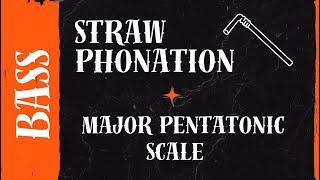 Straw Phonation with Major Pentatonic Arpeggio — Vocal Exercise for Bass  The Vocal Gallery [upl. by Trovillion914]