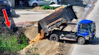 New Project Launch  Pour the soil into pond water using bulldozer mini and 5 ton dump truck [upl. by Thessa510]