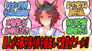 栗東寮に巨大流しそうめん出現‼驚愕する寮長フジキセキだったが…ミイラ取りがミイラに⁉いつしかみんなでそうめんを楽しむ姿を見守る一般トレーナー達の反応集 [upl. by Salguod766]