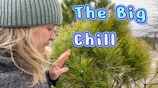 The Big Chill [upl. by Uda]