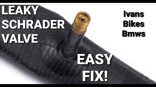 How To Fix Leaky Schrader Valve  Easy Fix  4K [upl. by Drofdarb432]