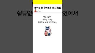 메이플 속 흥미로운 TMI 모음 [upl. by Alena]