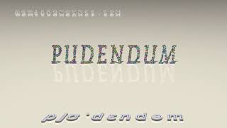 pudendum  pronunciation [upl. by Tyree248]