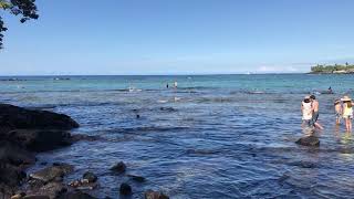 Kahalu’u Beach Park KailuaKona Hawaii November 22 2017 [upl. by Asset]