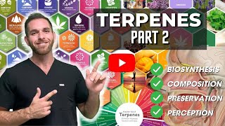 Terpenes Part 2 Biosynthesis Composition Preservation and Perception [upl. by Nehttam580]