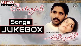 Geetanjali గీతాంజలి  Telugu Movie  Full Songs Jukebox  Nagarjuna Girija [upl. by Dermott]