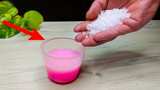 Mix Coarse Salt with Fabric Softener the result will surprise you [upl. by Rosel]