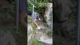 Short footage of a Quadrobist walking up some stairs 🐾🪶🌿 therian theriantropy quads quadrobic [upl. by Harahs]