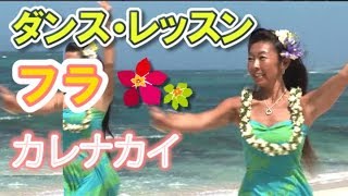 60歳から始めるフラ入門～お手本の踊り「カレナカイ」Kalena Kai [upl. by Sebbie]