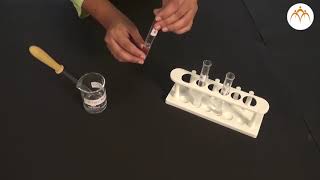 To identify the chloride bromide and iodide iodide ions from the given salts [upl. by Juliana]