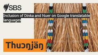 Inclusion of Dinka and Nuer on Google translatable languages  SBS Dinka  SBS Dinka [upl. by Harv]