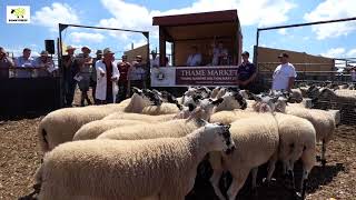 Thame Sheep Fair 2018 [upl. by Adnam]