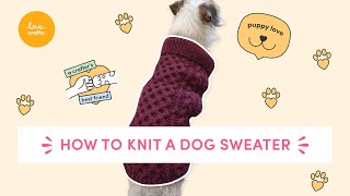 How to knit a dog sweater  FREE Debbie Bliss pattern [upl. by Hannasus]