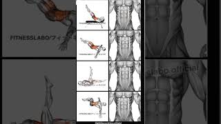 core strength workout  increase your strength [upl. by Nabois754]