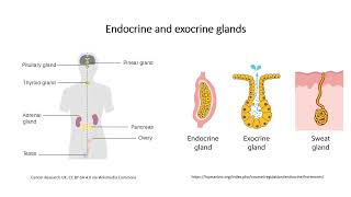 Hormones and classification [upl. by Woolley320]