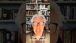 The Reticular Activation System For Actors [upl. by Airemaj]