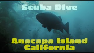 Scuba Diving the Kelp Forests of Anacapa Island [upl. by Laiceps165]