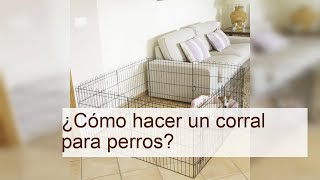 ¿Cómo hacer un corral para perros  Paso a paso y consejos para usarlo correctamente [upl. by Ezara]