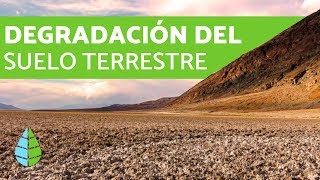 Degradación del suelo terrestre  CAUSAS Y CONSECUENCIAS [upl. by Yelhak]