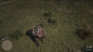 Arthur gets beat to Death by Tammy Aberdeen rdr2 arthurmorgan rdr2funnyRedDeadRedemption2 [upl. by Xonk]