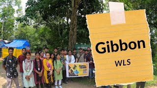 Highlights of a visit to Gibbon Wildlife Sanctuary [upl. by Iormina]