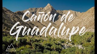 E1  Un paraíso en medio del desierto  40 Días El Documental  Baja Latitude [upl. by Anovahs]